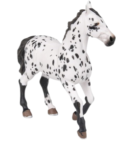 Appaloosa černá klisna