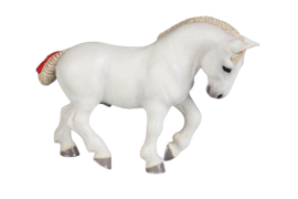 Peršeronský kůň - hříbě
