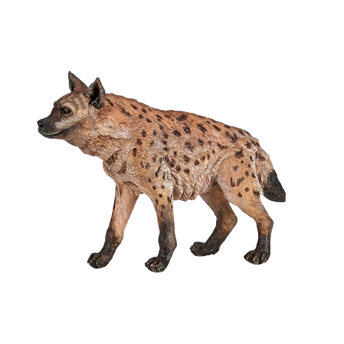 Hyena skvrnitá