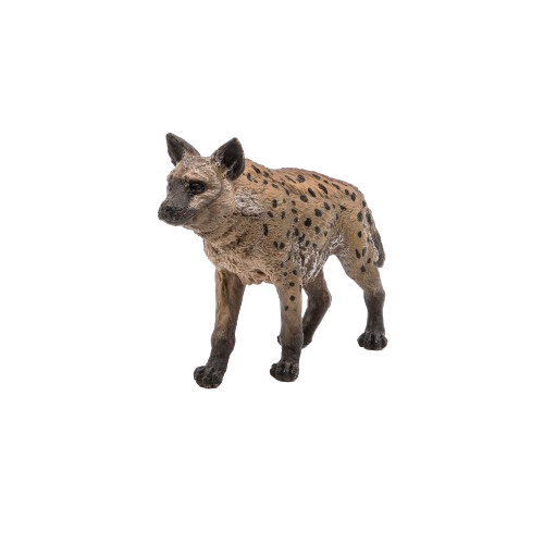 Hyena skvrnitá